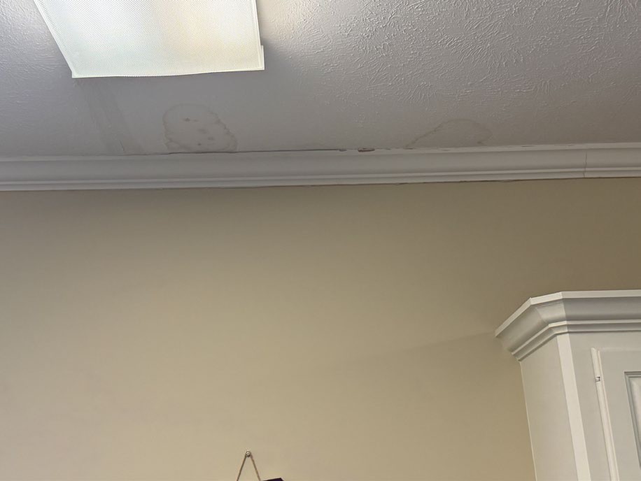 Water staining on an interior ceiling near crown molding and a ceiling light.