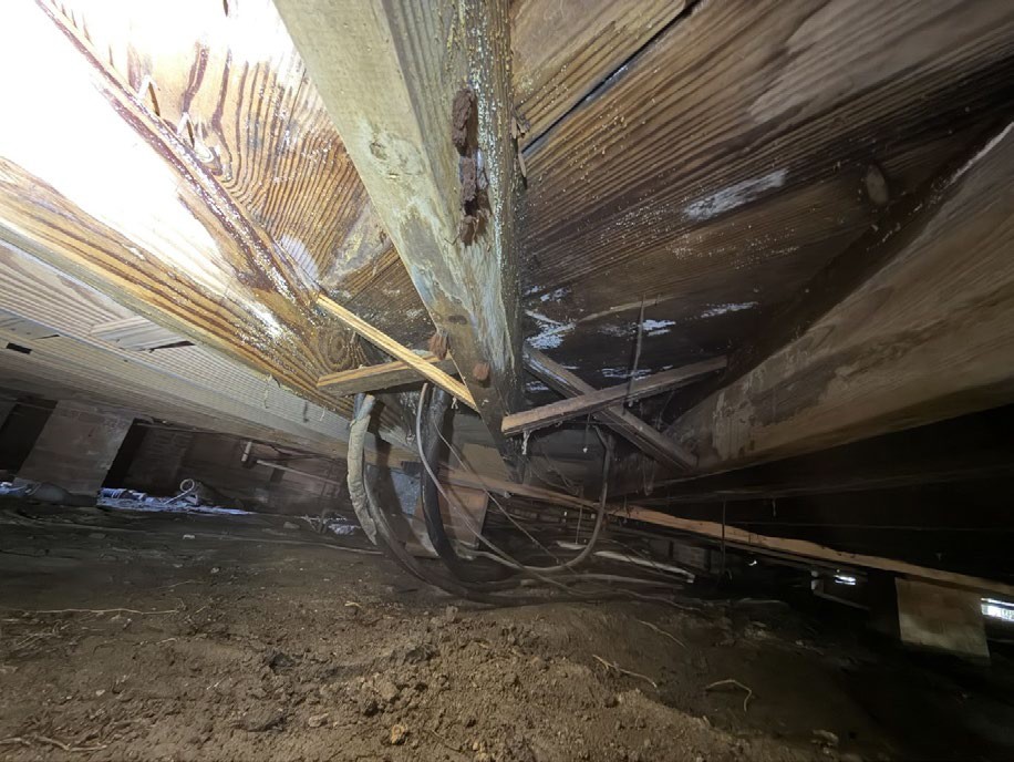 Staining and light-colored surface growth on wooden floor components above a crawlspace.