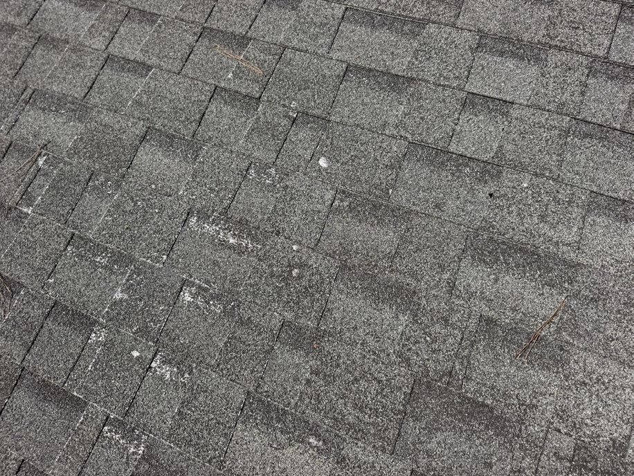 Asphalt roof shingles with granule loss and exposed reinforcement at several locations.
